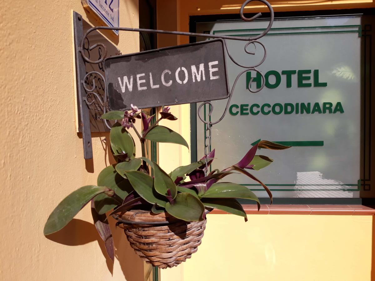 Hotel Cecco Di Nara à Massarosa Extérieur photo